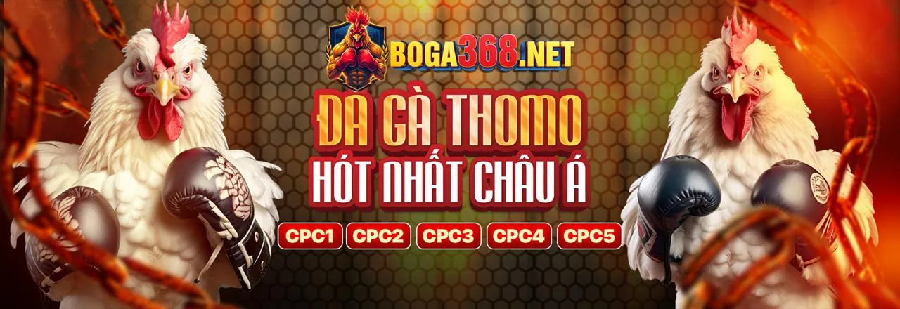 Hình ảnh chính SCV288 link mới